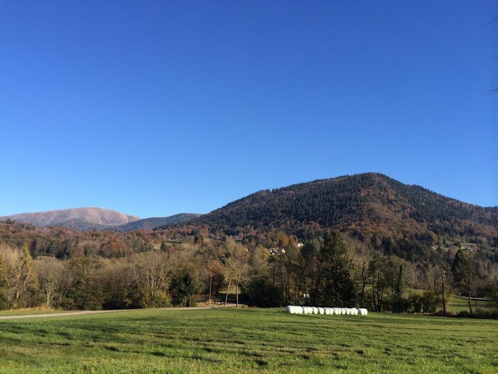 Rifugio Pranolz Hotel Trichiana Bagian luar foto